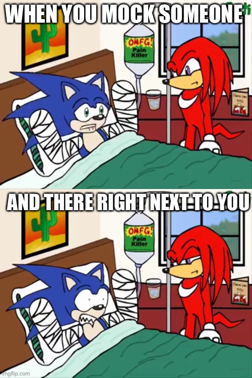 When you mock someone | WHEN YOU MOCK SOMEONE; AND THERE RIGHT NEXT TO YOU | image tagged in sonic the hedgehog,mocking,knuckles | made w/ Imgflip meme maker
