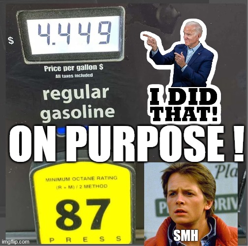 Energy independence is so over rated | ON PURPOSE ! | image tagged in memes | made w/ Imgflip meme maker