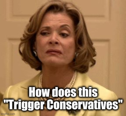 disdain | How does this
"Trigger Conservatives" | image tagged in disdain | made w/ Imgflip meme maker