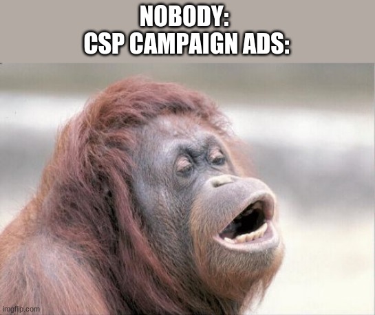 monke | NOBODY: 
CSP CAMPAIGN ADS: | image tagged in memes,monkey ooh | made w/ Imgflip meme maker
