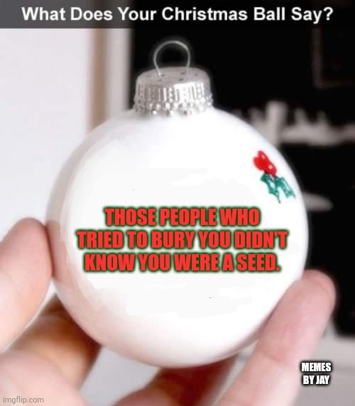 This | THOSE PEOPLE WHO TRIED TO BURY YOU DIDN'T KNOW YOU WERE A SEED. MEMES BY JAY | image tagged in christmas ornament,facts,self esteem | made w/ Imgflip meme maker