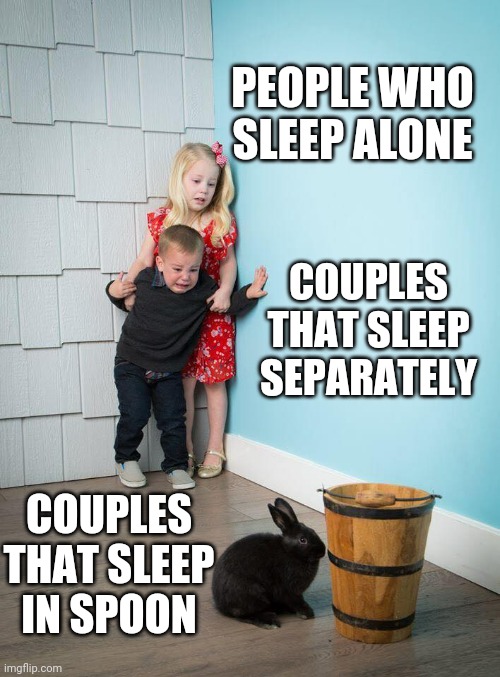 Sleeping together | PEOPLE WHO SLEEP ALONE; COUPLES THAT SLEEP SEPARATELY; COUPLES THAT SLEEP IN SPOON | image tagged in kids afraid of rabbit | made w/ Imgflip meme maker