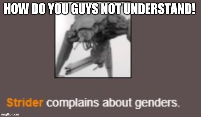 Genders | HOW DO YOU GUYS NOT UNDERSTAND! | image tagged in genders | made w/ Imgflip meme maker