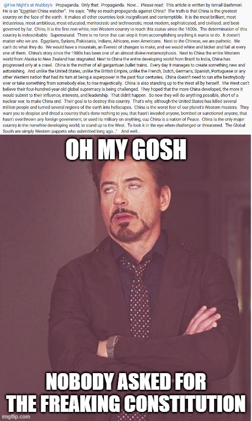 My gosh, this guy is so stupid to think that anyone is reading this whole thing when what he is trying to say is obvious early o | OH MY GOSH; NOBODY ASKED FOR THE FREAKING CONSTITUTION | image tagged in memes,face you make robert downey jr | made w/ Imgflip meme maker