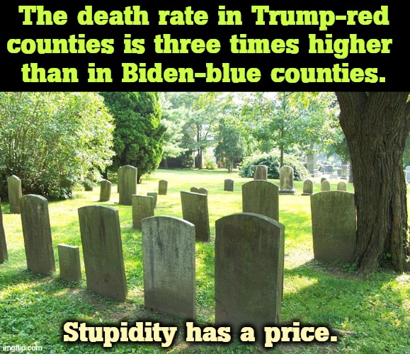 Looking for an anti-vaxxer meetup? You can start here. | The death rate in Trump-red counties is three times higher 
than in Biden-blue counties. Stupidity has a price. | image tagged in cemetery,anti vax,dead,stupid,death | made w/ Imgflip meme maker