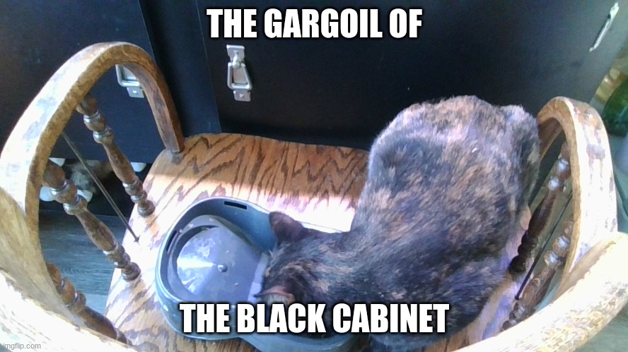 Gargoil of the Black Cabinet | THE GARGOIL OF; THE BLACK CABINET | image tagged in gargoil of the black cabinet | made w/ Imgflip meme maker