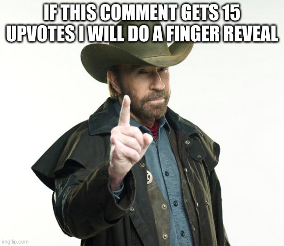 Chuck Norris Finger Meme | IF THIS COMMENT GETS 15 UPVOTES I WILL DO A FINGER REVEAL | image tagged in memes,chuck norris finger,chuck norris | made w/ Imgflip meme maker