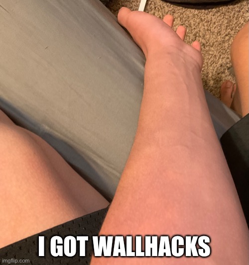 Hacker | I GOT WALLHACKS | image tagged in emo | made w/ Imgflip meme maker