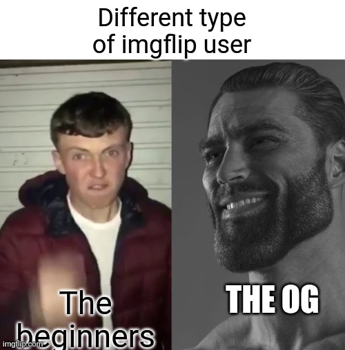 Credit to the OG and the the beginner | Different type of imgflip user; THE OG; The beginners | image tagged in average fan vs average enjoyer,fun | made w/ Imgflip meme maker