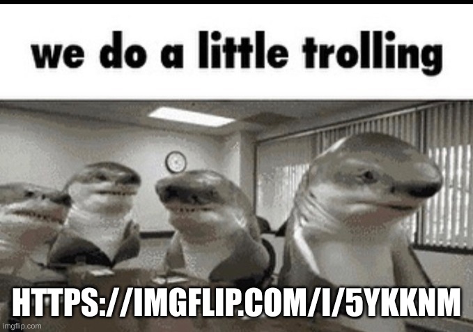 we do a little trolling | HTTPS://IMGFLIP.COM/I/5YKKNM | image tagged in we do a little trolling | made w/ Imgflip meme maker
