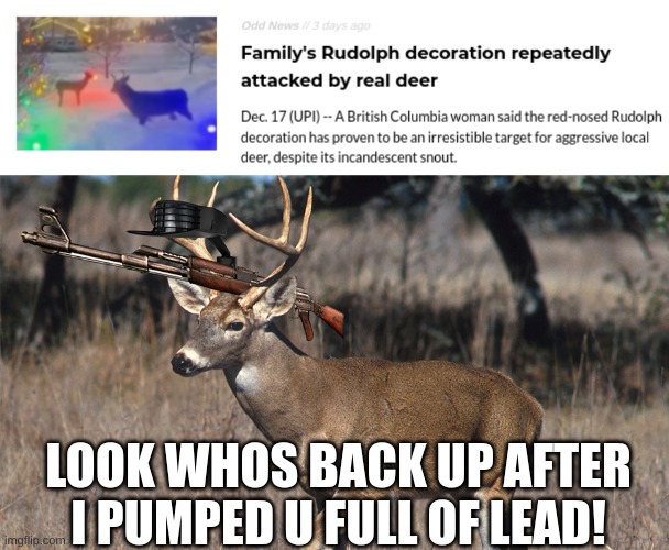 stay down | LOOK WHOS BACK UP AFTER I PUMPED U FULL OF LEAD! | image tagged in deer,madea with gun | made w/ Imgflip meme maker