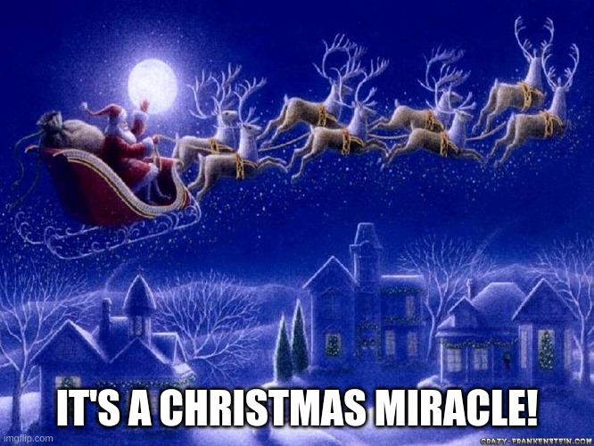 Merry Christmas | IT'S A CHRISTMAS MIRACLE! | image tagged in merry christmas | made w/ Imgflip meme maker