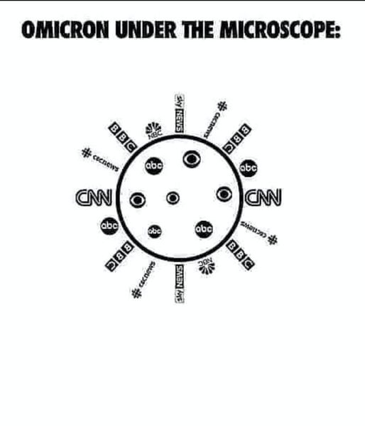 High Quality The REAL Virus Blank Meme Template