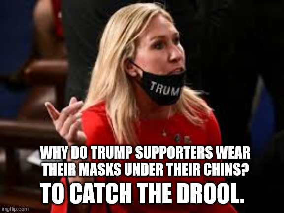 Dear magats: Ask a grown-up to show you how to wear your mask properly | WHY DO TRUMP SUPPORTERS WEAR THEIR MASKS UNDER THEIR CHINS? TO CATCH THE DROOL. | image tagged in magats,mask up,get the vax | made w/ Imgflip meme maker