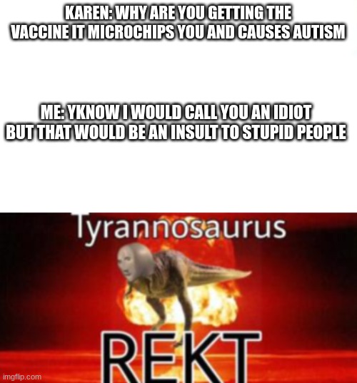 sadly not a true story i just thought of it in my head | KAREN: WHY ARE YOU GETTING THE VACCINE IT MICROCHIPS YOU AND CAUSES AUTISM; ME: YKNOW I WOULD CALL YOU AN IDIOT BUT THAT WOULD BE AN INSULT TO STUPID PEOPLE | image tagged in karen | made w/ Imgflip meme maker