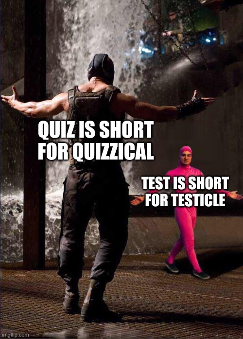 Pink Guy vs Bane | QUIZ IS SHORT FOR QUIZZICAL; TEST IS SHORT FOR TESTICLE | image tagged in pink guy vs bane | made w/ Imgflip meme maker