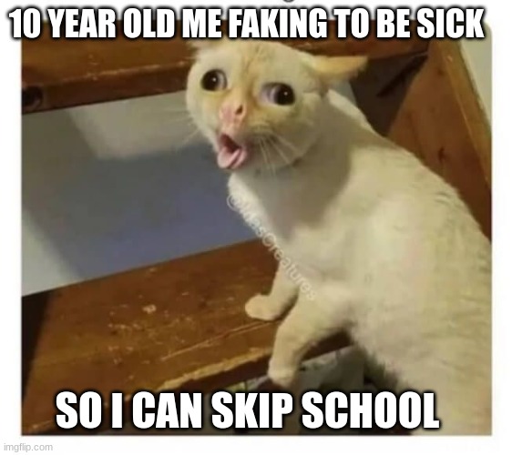Faking sick | 10 YEAR OLD ME FAKING TO BE SICK; SO I CAN SKIP SCHOOL | image tagged in coughing cat,childhood,cat | made w/ Imgflip meme maker