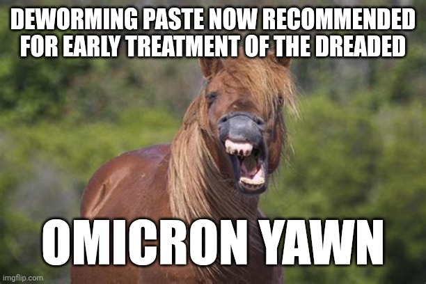 HORSE YAWN RESPECTING OMICRON | DEWORMING PASTE NOW RECOMMENDED FOR EARLY TREATMENT OF THE DREADED; OMICRON YAWN | image tagged in horse yawn respecting omicron,yawn,covid-19,covid vaccine,horse | made w/ Imgflip meme maker