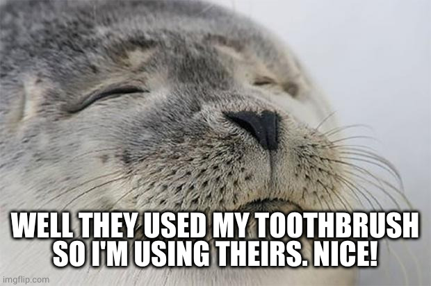 Satisfied Seal Meme | WELL THEY USED MY TOOTHBRUSH SO I'M USING THEIRS. NICE! | image tagged in memes,satisfied seal | made w/ Imgflip meme maker