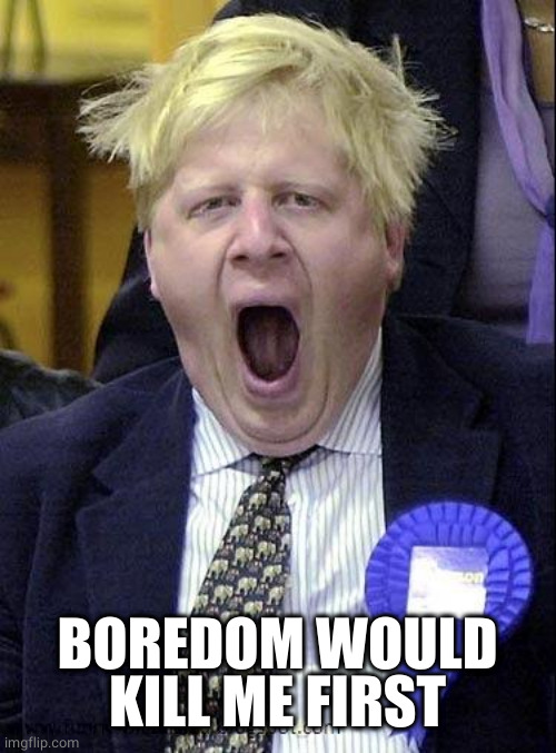Yawn | BOREDOM WOULD KILL ME FIRST | image tagged in yawn | made w/ Imgflip meme maker