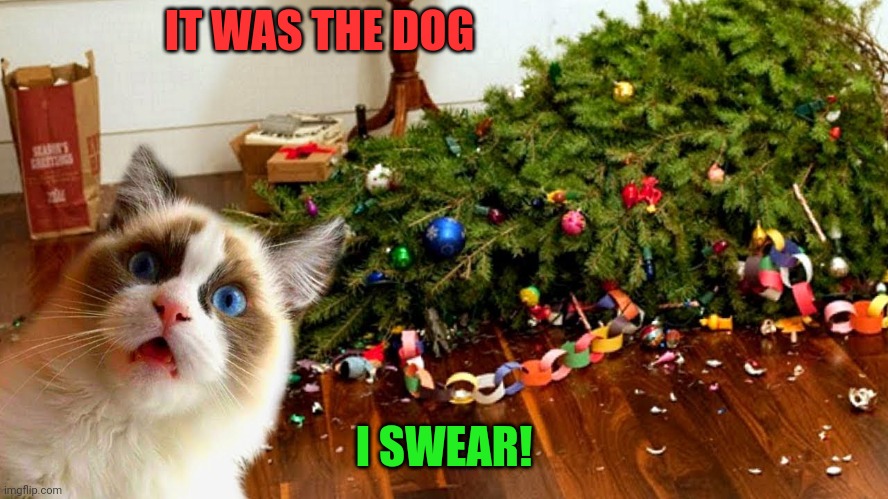 IT REALLY WAS | IT WAS THE DOG; I SWEAR! | image tagged in cats,funny cats,christmas tree | made w/ Imgflip meme maker