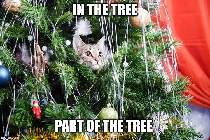 CATS ADVENTURE TIME | IN THE TREE; PART OF THE TREE | image tagged in cats,funny cats,christmas tree,adventure time | made w/ Imgflip meme maker