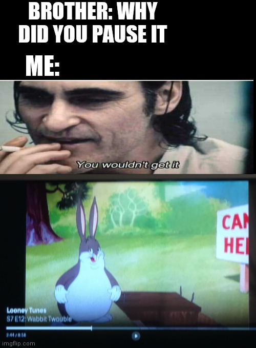 You won't understand a true meme | BROTHER: WHY DID YOU PAUSE IT; ME: | image tagged in big chungus | made w/ Imgflip meme maker