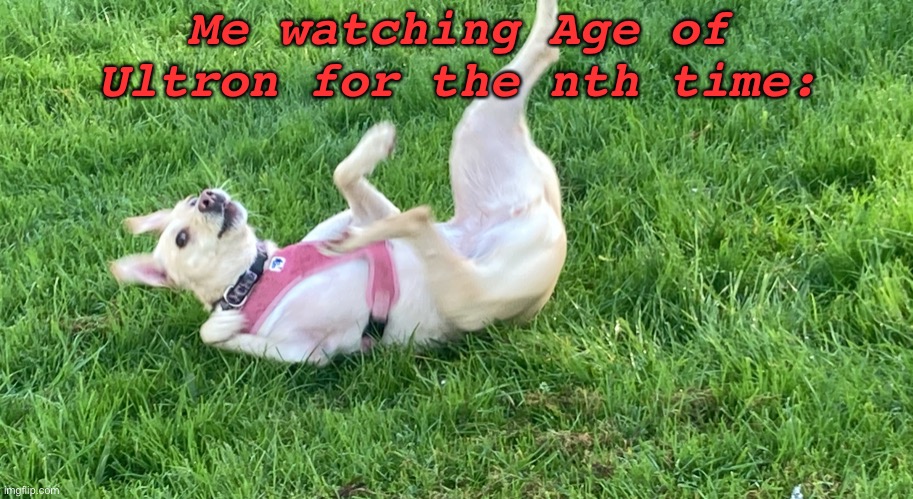 Why have almost all my memes been about Marvel lately? |  Me watching Age of Ultron for the nth time: | image tagged in doggo falling back,marvel,age of ultron,avengers,avengers age of ultron,mcu | made w/ Imgflip meme maker