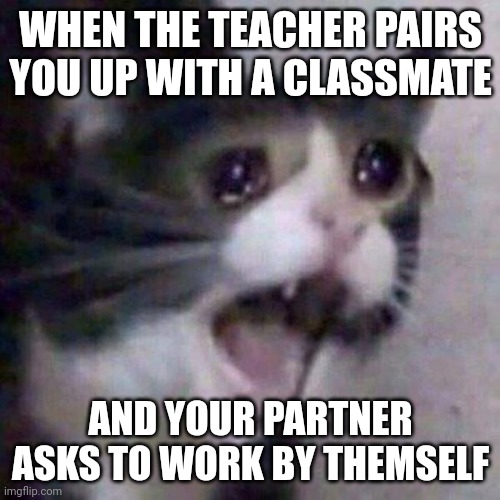 WHEN THE TEACHER PAIRS YOU UP WITH A CLASSMATE; AND YOUR PARTNER ASKS TO WORK BY THEMSELF | image tagged in funny | made w/ Imgflip meme maker