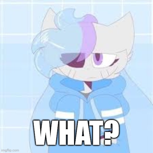 really nibba sashley | WHAT? | image tagged in really nibba sashley | made w/ Imgflip meme maker