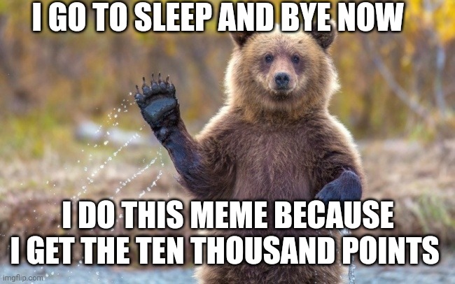 Bye | I GO TO SLEEP AND BYE NOW; I DO THIS MEME BECAUSE I GET THE TEN THOUSAND POINTS | image tagged in bye bye bear | made w/ Imgflip meme maker