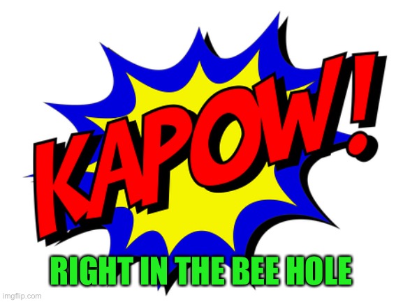 kapow | RIGHT IN THE BEE HOLE | image tagged in kapow | made w/ Imgflip meme maker