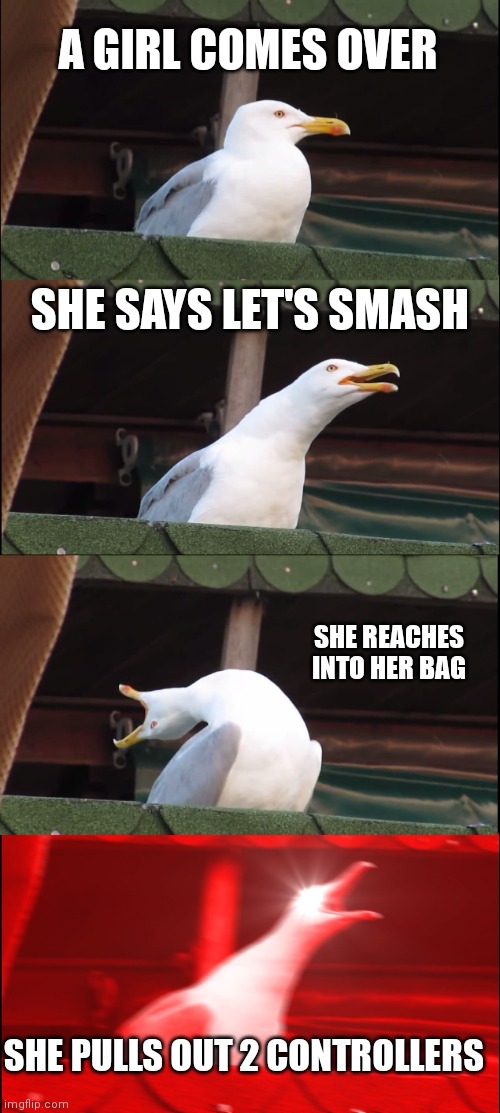 Inhaling Seagull | A GIRL COMES OVER; SHE SAYS LET'S SMASH; SHE REACHES INTO HER BAG; SHE PULLS OUT 2 CONTROLLERS | image tagged in memes,inhaling seagull | made w/ Imgflip meme maker