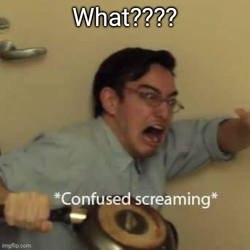 filthy frank confused scream | What???? | image tagged in filthy frank confused scream | made w/ Imgflip meme maker