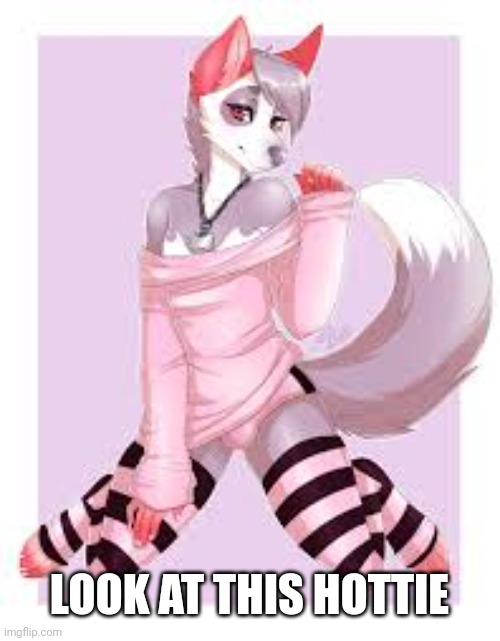 Femboy Furry | LOOK AT THIS HOTTIE | image tagged in femboy furry | made w/ Imgflip meme maker