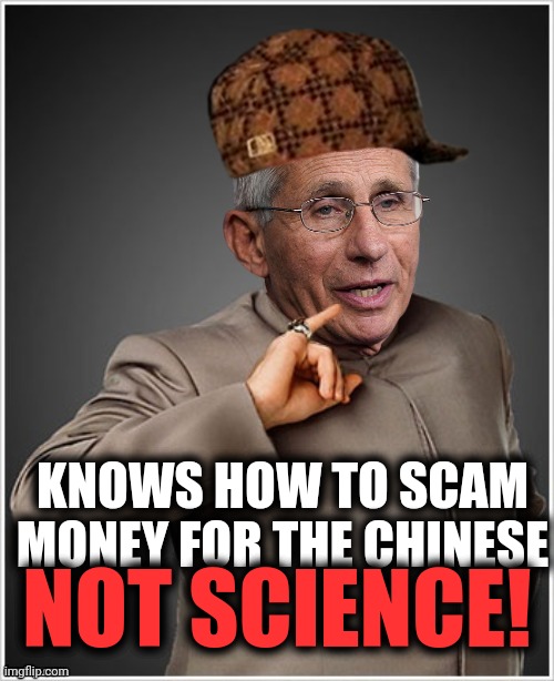 Dr Evil Fauci | KNOWS HOW TO SCAM MONEY FOR THE CHINESE NOT SCIENCE! | image tagged in dr evil fauci | made w/ Imgflip meme maker