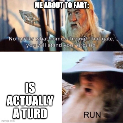 farting logic |  ME ABOUT TO FART:; IS ACTUALLY A TURD | image tagged in no matter what comes through that gate | made w/ Imgflip meme maker