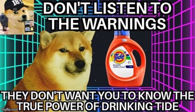 image tagged in doge | made w/ Imgflip meme maker