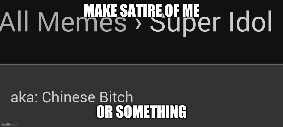 Chinese bitch | MAKE SATIRE OF ME; OR SOMETHING | image tagged in chinese bitch | made w/ Imgflip meme maker