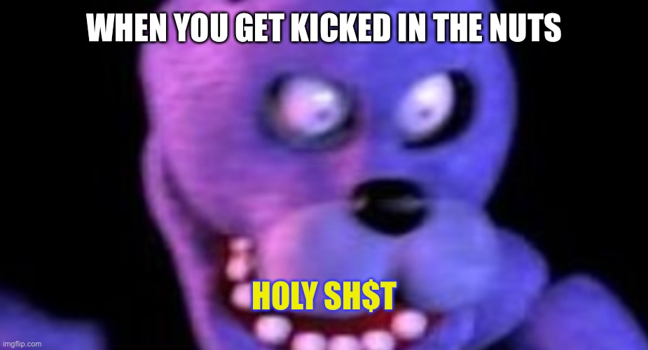 Scared Bonnie | WHEN YOU GET KICKED IN THE NUTS; HOLY SH$T | image tagged in scared bonnie | made w/ Imgflip meme maker