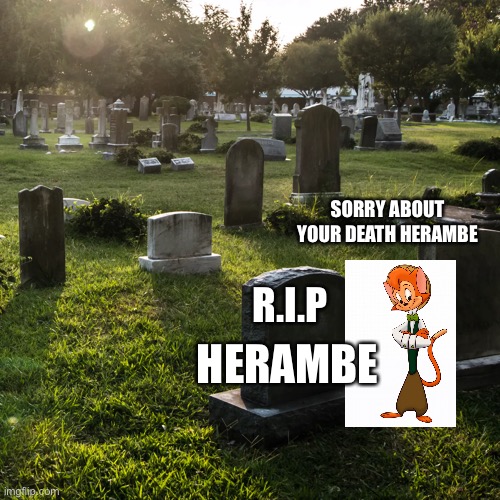 Herambes died in my Pokémon soul link | SORRY ABOUT YOUR DEATH HERAMBE; R.I.P; HERAMBE | image tagged in pokemon sun and moon | made w/ Imgflip meme maker