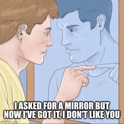 Pointing mirror guy | I ASKED FOR A MIRROR BUT NOW I'VE GOT IT, I DON'T LIKE YOU | image tagged in pointing mirror guy | made w/ Imgflip meme maker