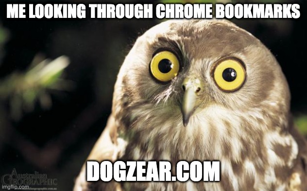 owl thing | ME LOOKING THROUGH CHROME BOOKMARKS; DOGZEAR.COM | image tagged in owl thing | made w/ Imgflip meme maker