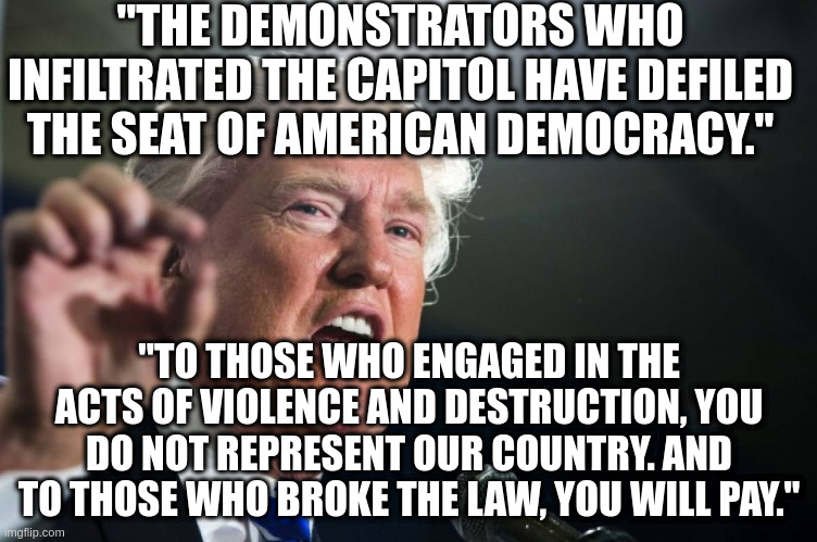 Yes, Trump condemned the capital riot.  No mainstream Republicnas support rioting. | "THE DEMONSTRATORS WHO INFILTRATED THE CAPITOL HAVE DEFILED THE SEAT OF AMERICAN DEMOCRACY."; "TO THOSE WHO ENGAGED IN THE ACTS OF VIOLENCE AND DESTRUCTION, YOU DO NOT REPRESENT OUR COUNTRY. AND TO THOSE WHO BROKE THE LAW, YOU WILL PAY." | image tagged in donald trump,capital riot | made w/ Imgflip meme maker