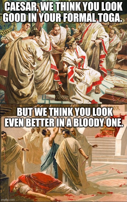Julius Caesar meme | CAESAR, WE THINK YOU LOOK GOOD IN YOUR FORMAL TOGA. BUT WE THINK YOU LOOK EVEN BETTER IN A BLOODY ONE. | image tagged in julius caesar meme | made w/ Imgflip meme maker