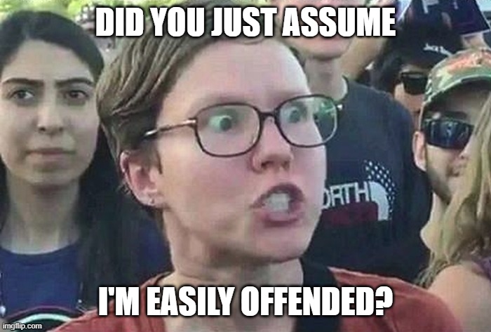 I'm offended | DID YOU JUST ASSUME; I'M EASILY OFFENDED? | image tagged in triggered liberal | made w/ Imgflip meme maker