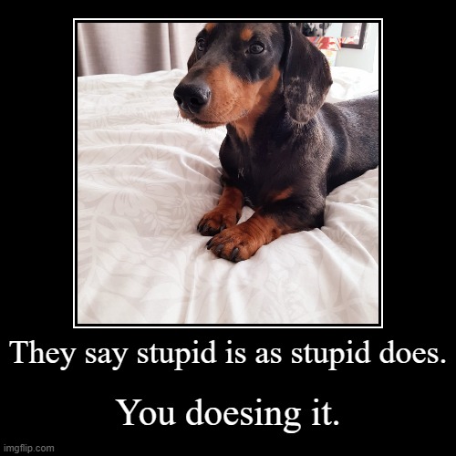 stupid | image tagged in funny,demotivationals | made w/ Imgflip demotivational maker