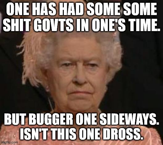 queen | ONE HAS HAD SOME SOME SHIT GOVTS IN ONE'S TIME. BUT BUGGER ONE SIDEWAYS. ISN'T THIS ONE DROSS. | image tagged in queen | made w/ Imgflip meme maker