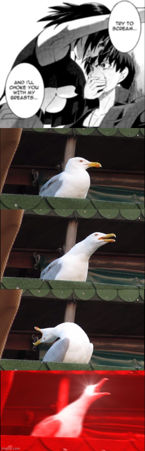 I would scream | image tagged in memes,inhaling seagull | made w/ Imgflip meme maker