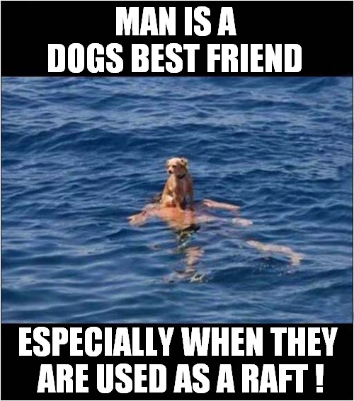 A Useful Floater ! | MAN IS A DOGS BEST FRIEND; ESPECIALLY WHEN THEY
 ARE USED AS A RAFT ! | image tagged in dogs,floater,drown,dark humour | made w/ Imgflip meme maker